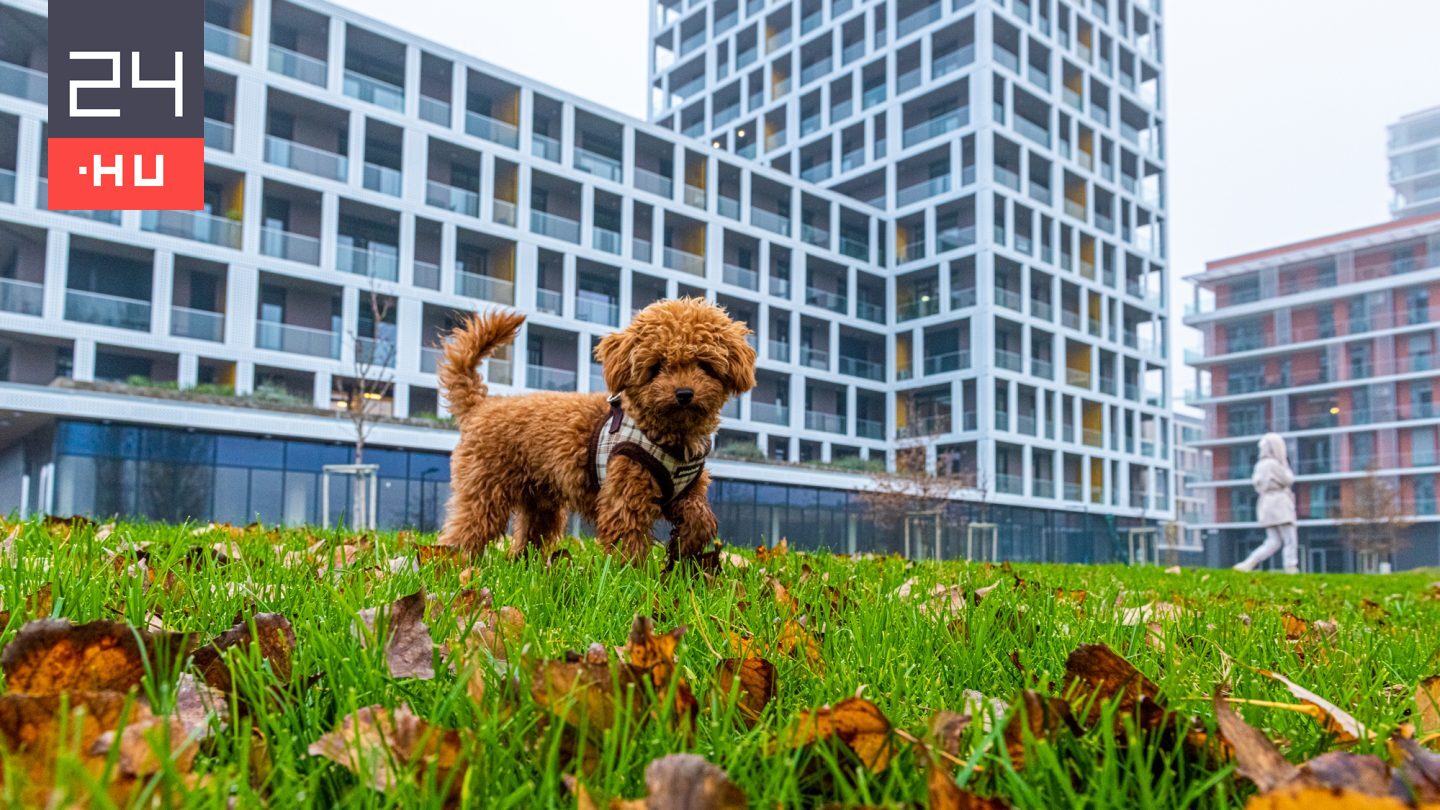 Mutatjuk, milyen időre számíthatunk holnap