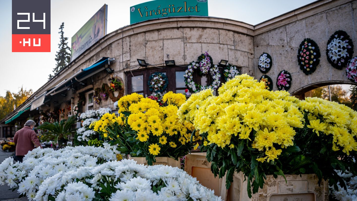 A temetők virága: krizantén vagy krizantém?