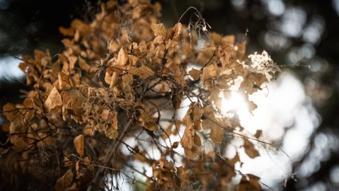 Hidegfronttal indul a jövő hét