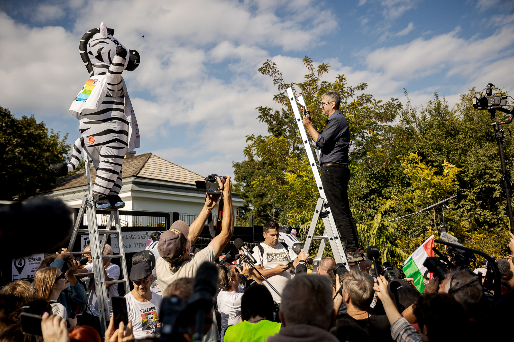 Megjött a kedve a zebrákhoz? Nehéz dolga lesz, ha otthonra is akar egyet 1