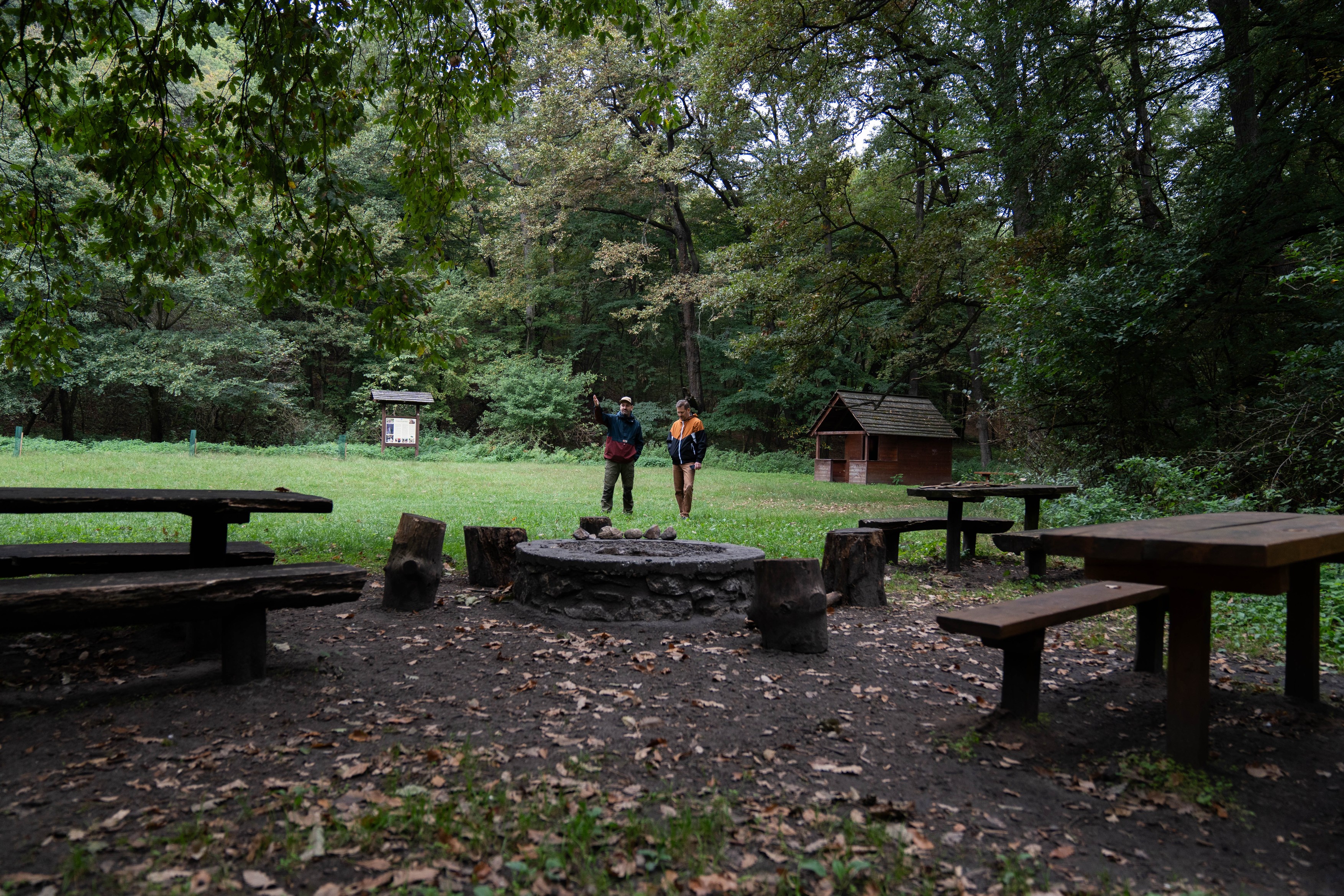 Mennyiből jön ki egy nap az erdőben? Kipróbáltuk a bushcraftot, pocsolyavízzel fojtottuk le a hamuban sült kenyeret 3