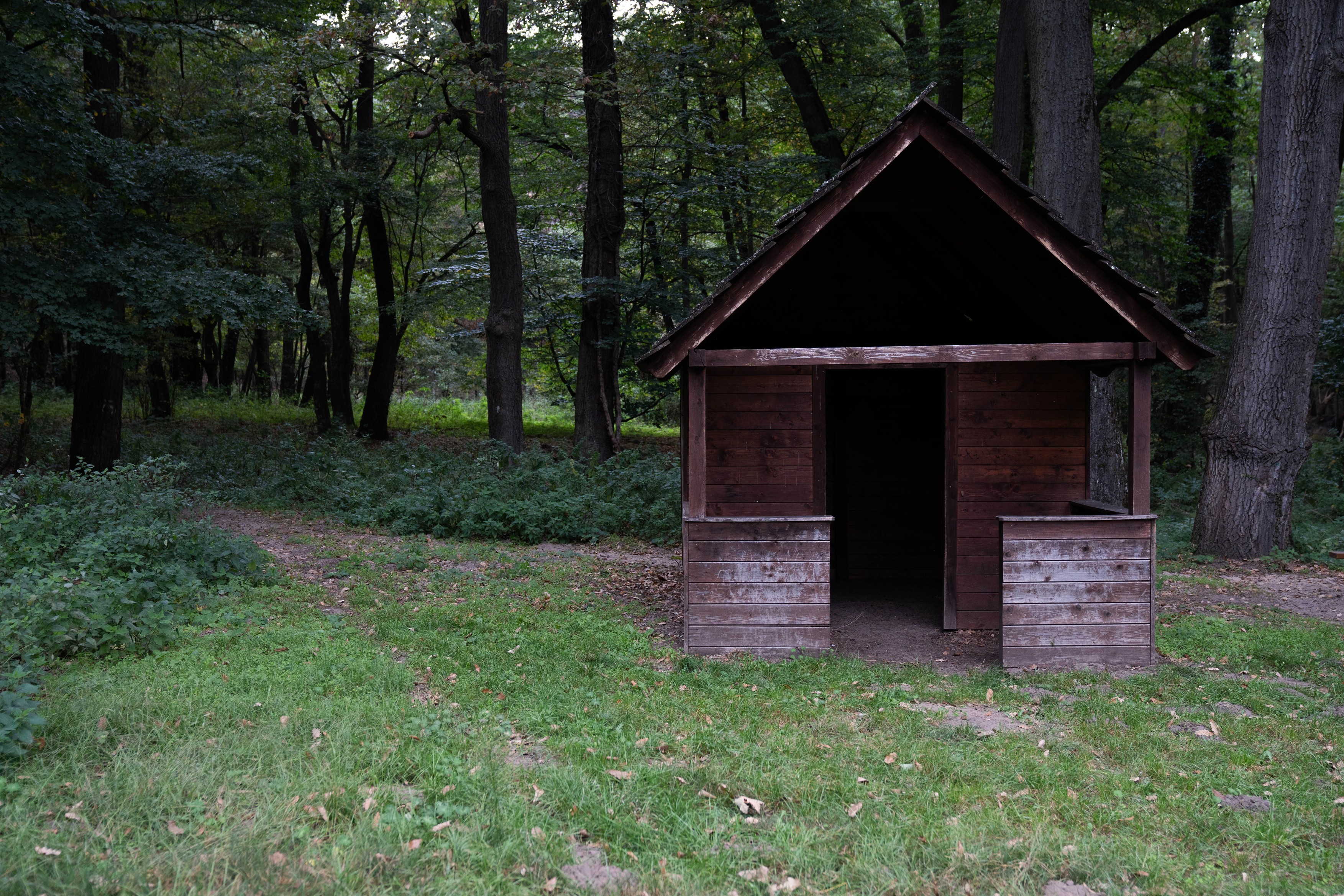 Mennyiből jön ki egy nap az erdőben? Kipróbáltuk a bushcraftot, pocsolyavízzel fojtottuk le a hamuban sült kenyeret 9