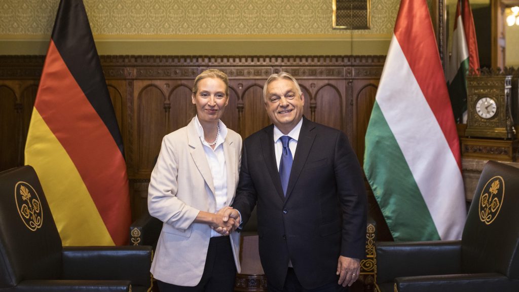 Orbán Viktor a Parlamentben fogadta az AfD társelnökét