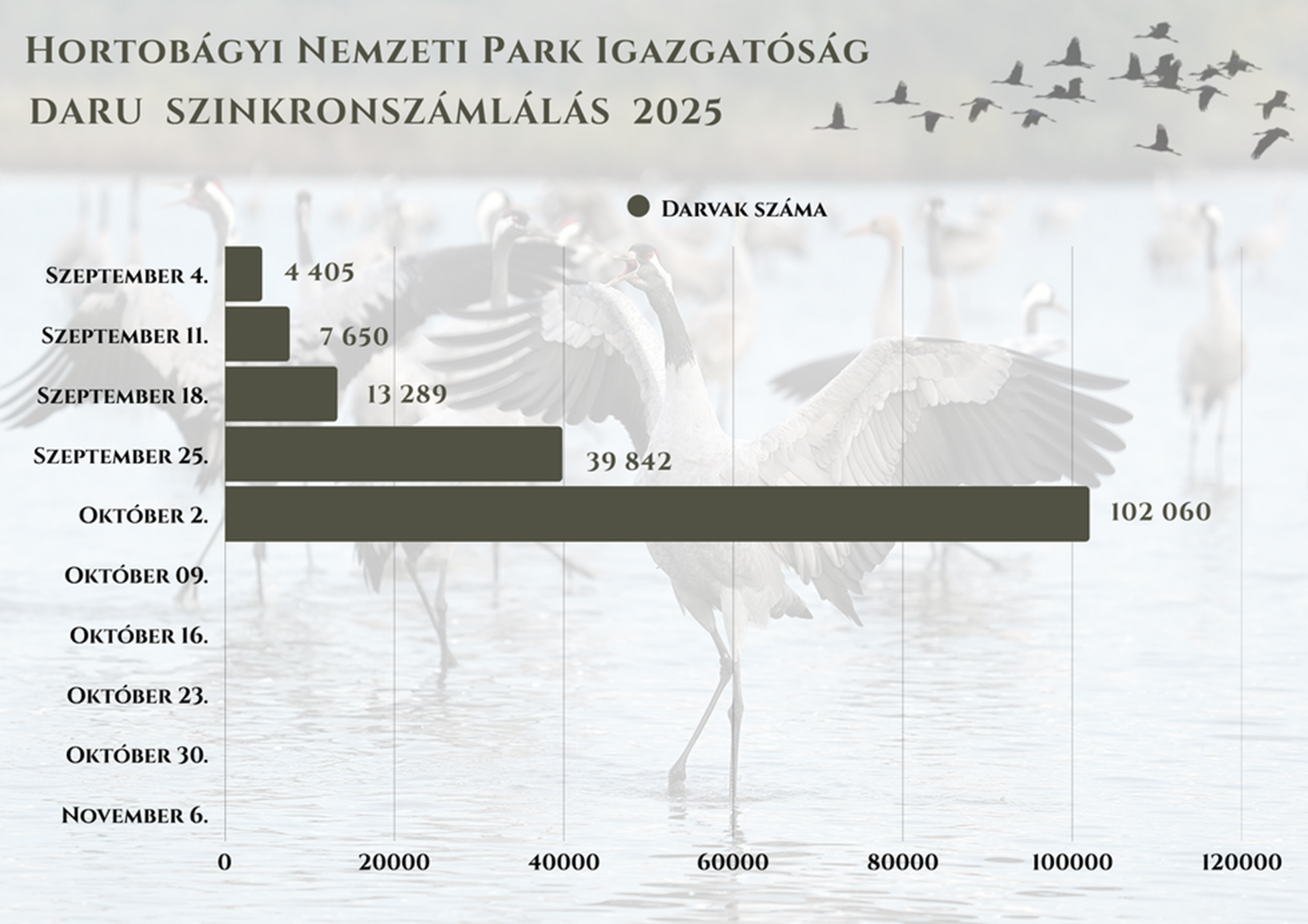 Már 100 ezer felett van a Hortobágyon állomásozó darvak száma 1