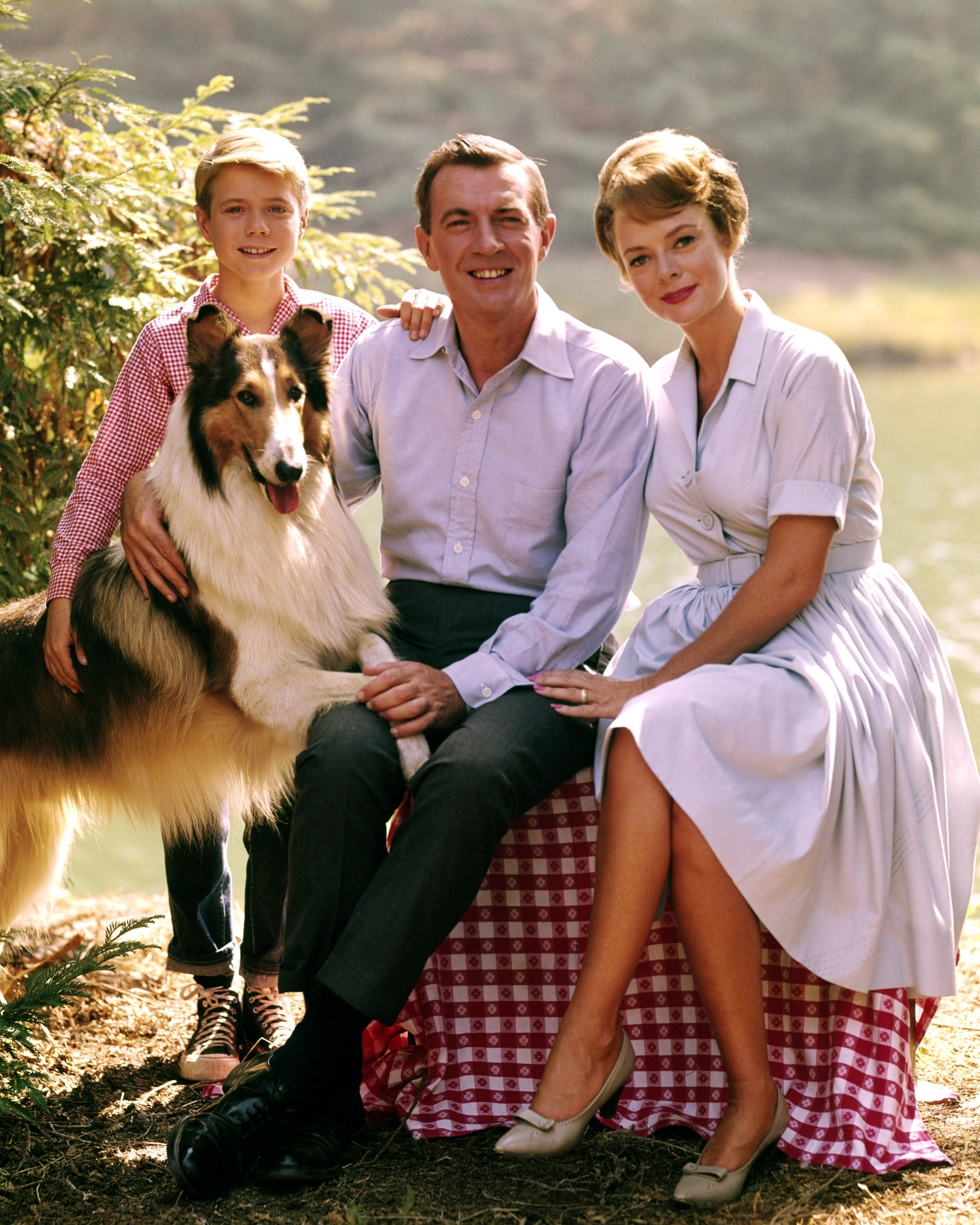 Meghalt June Lockhart, a Lassie színésznője, Hollywood aranykorának egyik utolsó tanúja 1