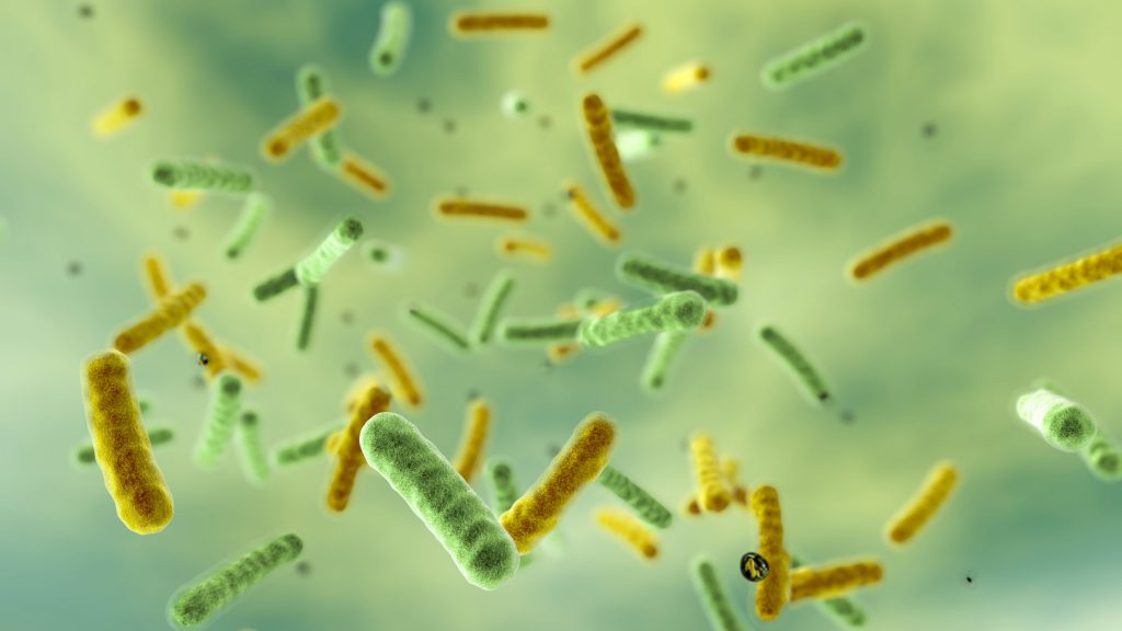Tudósok megörökítették, ahogy az antibiotikum leszámol a baktériumokkal