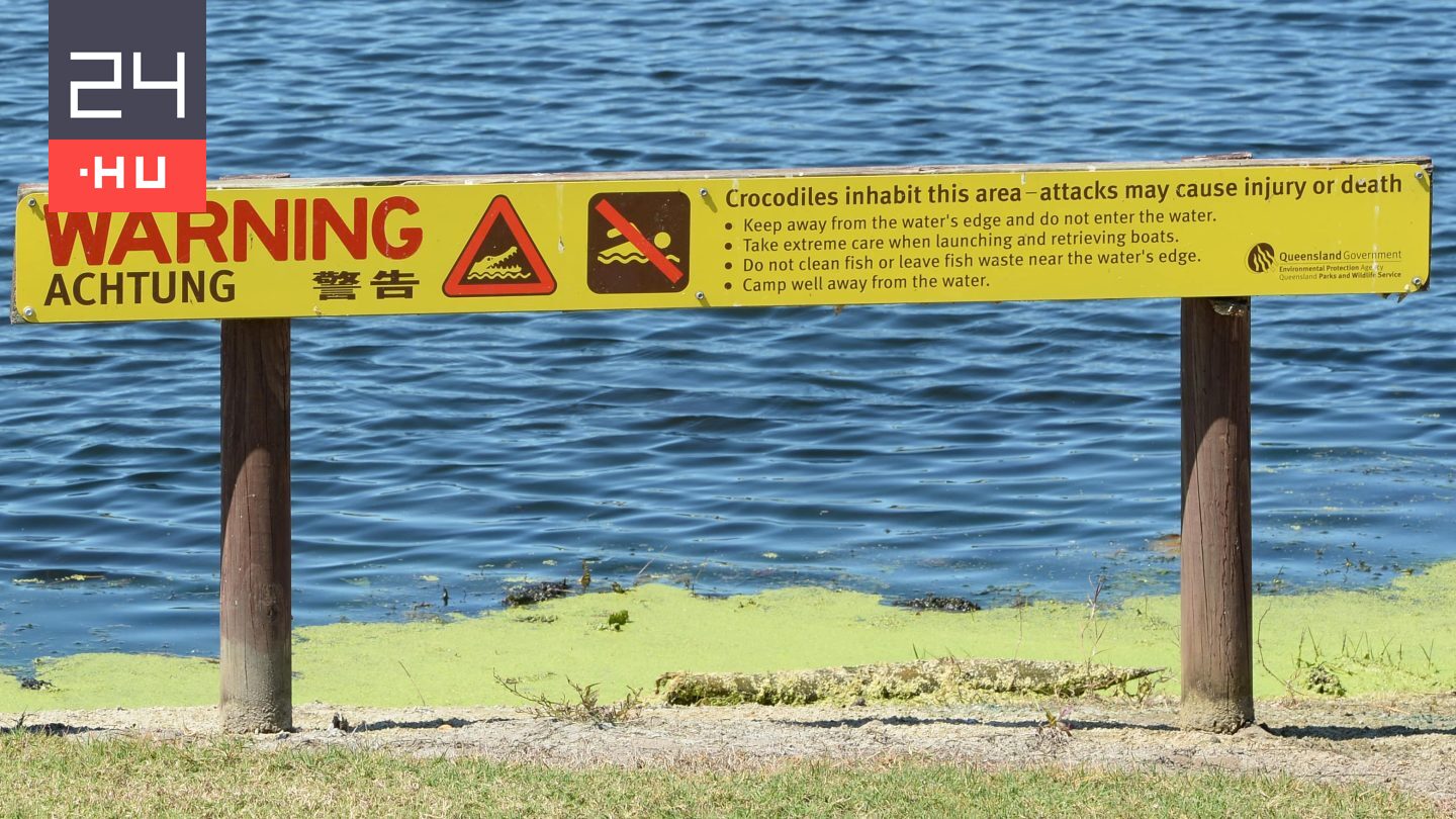 Krokodil támadt egy 14 éves fiúra Ausztráliában