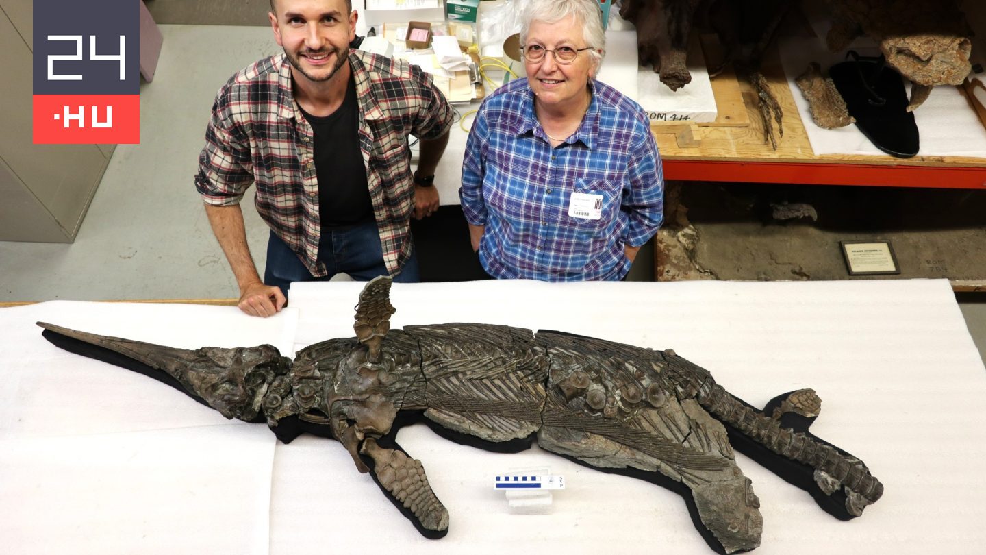 Hihetetlen állapotú, 190 millió éves tengeri őshüllőt találtak