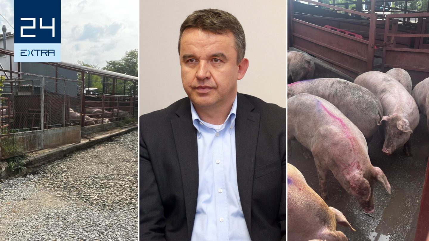 A közétkeztetésbe is került hús a fideszes Horváth István családi vágóhídjáról, amiről Hadházy osztott meg nyugtalanító fotókat