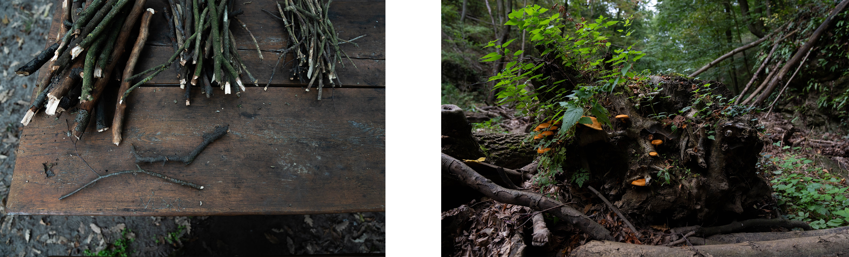 Mennyiből jön ki egy nap az erdőben? Kipróbáltuk a bushcraftot, pocsolyavízzel fojtottuk le a hamuban sült kenyeret 4