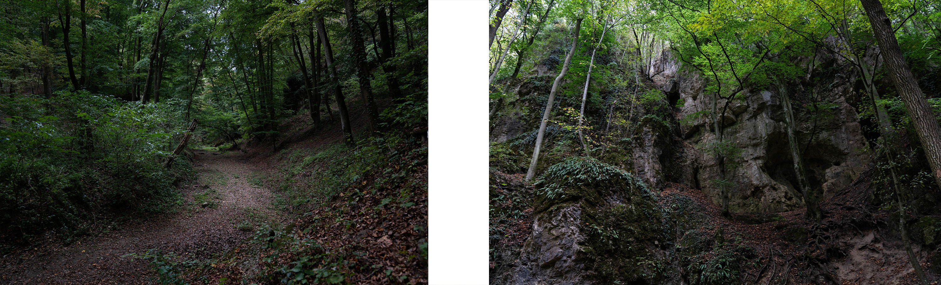 Mennyiből jön ki egy nap az erdőben? Kipróbáltuk a bushcraftot, pocsolyavízzel fojtottuk le a hamuban sült kenyeret 10