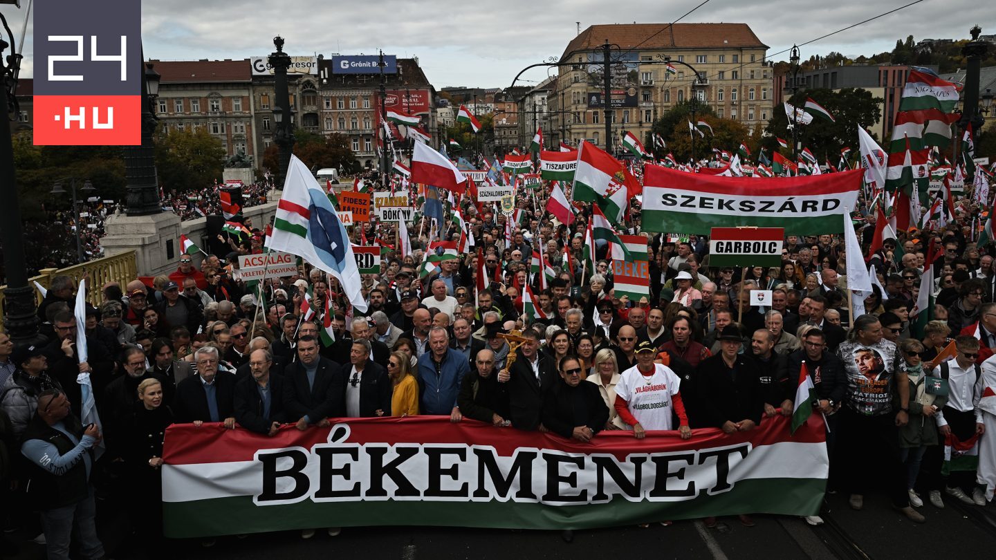 Fehér zászlót lengető békajelmezes férfi a Békemenet elején