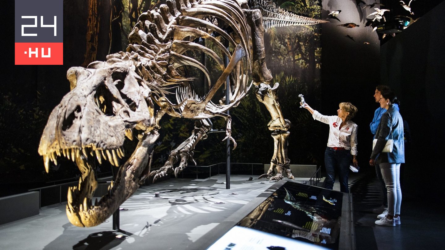 Milyen íze lehetett a dinoszauruszoknak?