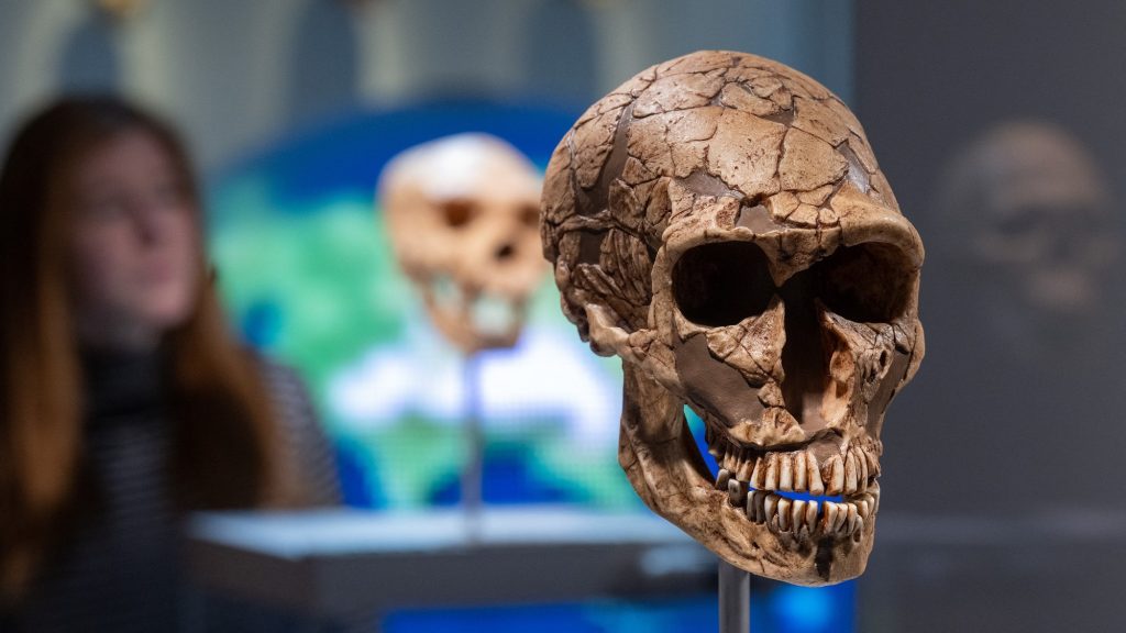Lehet, hogy mégsem haltak ki valójában a neandervölgyiek