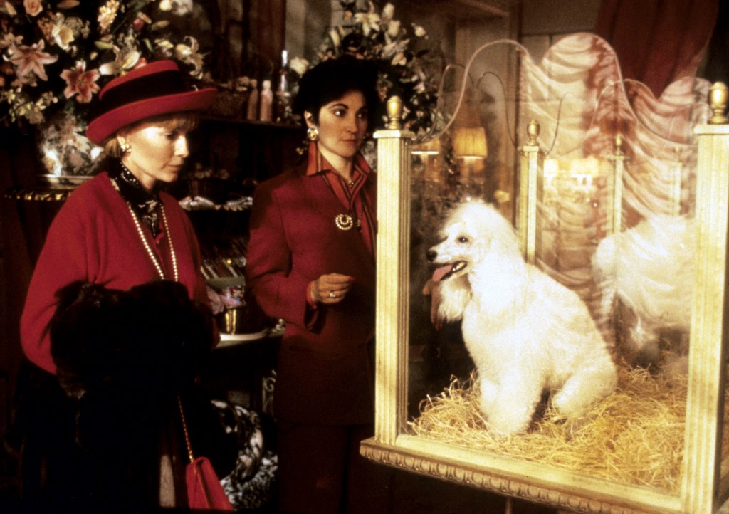 Annie Hall helyett: a 90 éves Woody Allen 9 filmje, amiről túl keveset beszélünk 3