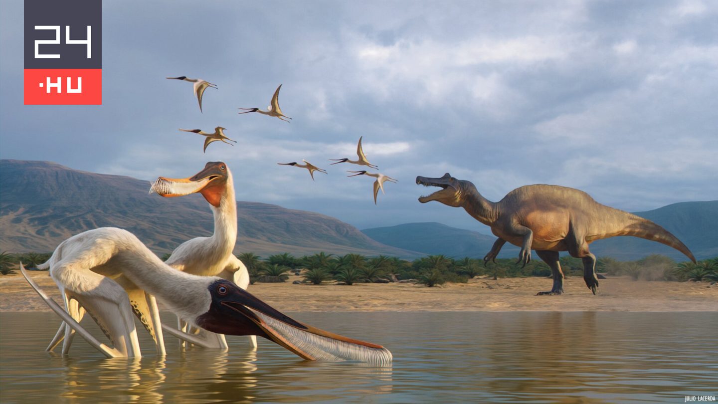 Ősi állatfajt fedeztek fel egy megkövesedett hányásban