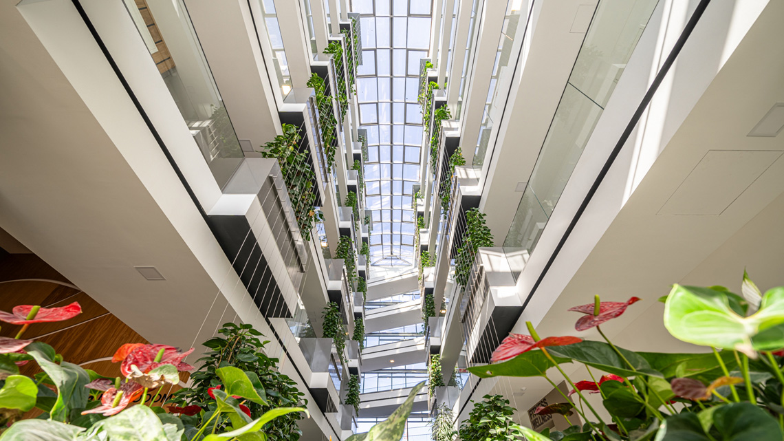 Slow Urbanism: víz, zöld, közösség, a modern életminőség új triásza 2