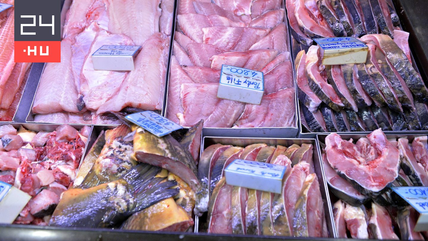 Ennyibe kerül majd a karácsonyi hal