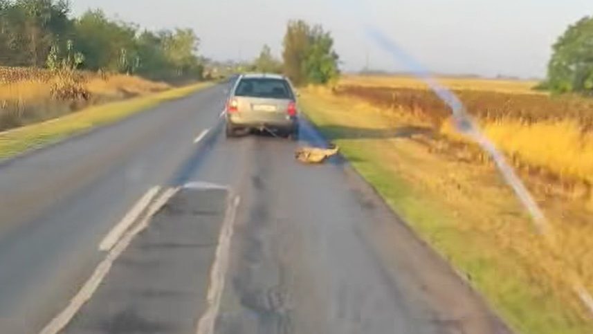 Az állatvédelemért felelős kormánybiztos szerint börtönt érdemel a férfi, aki autójához kötve húzta a kutyáját