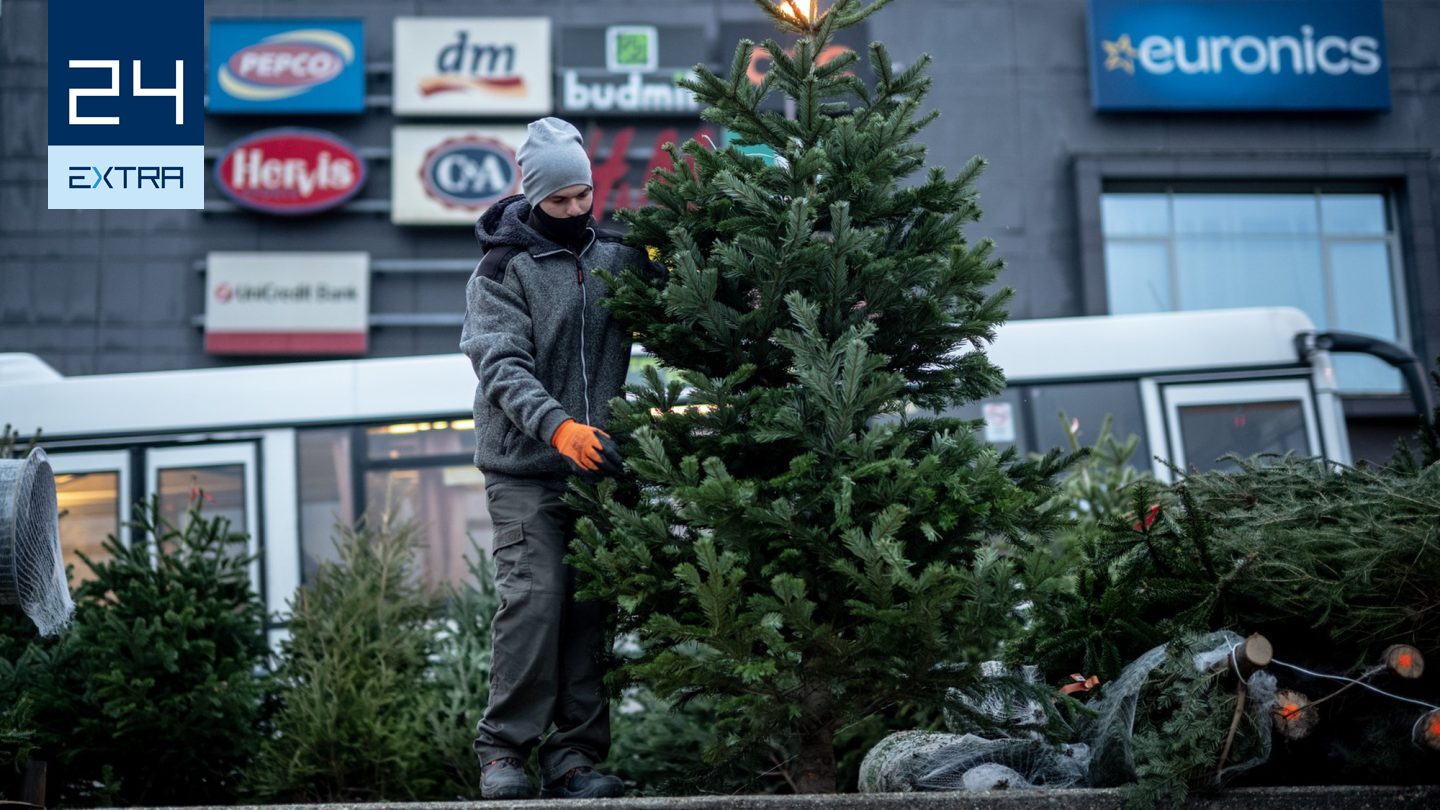 Igazi és műfenyő? – így lesz fenntartható a karácsony