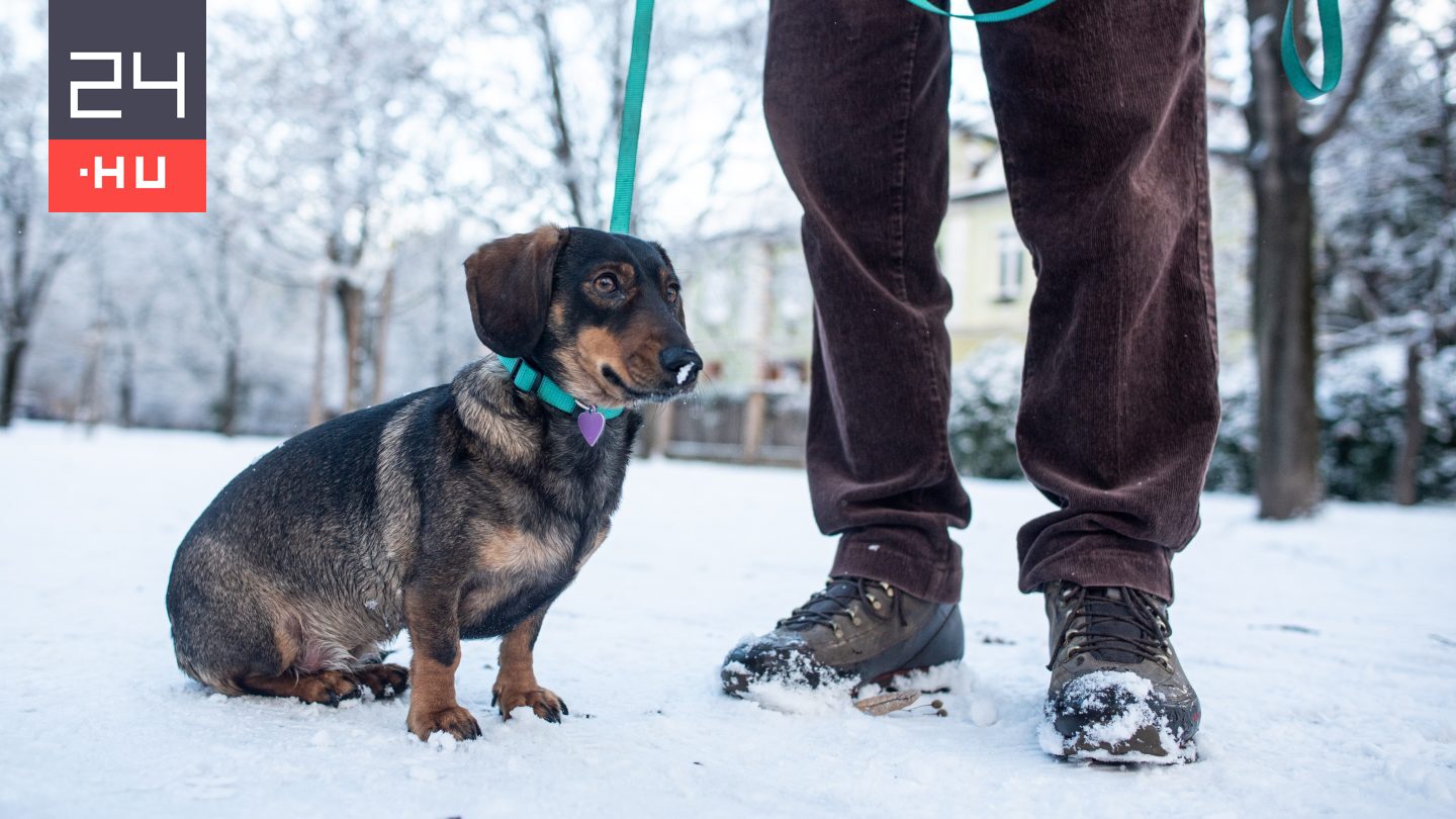 Mutatjuk, mikor számíthatunk az igazi havazásra