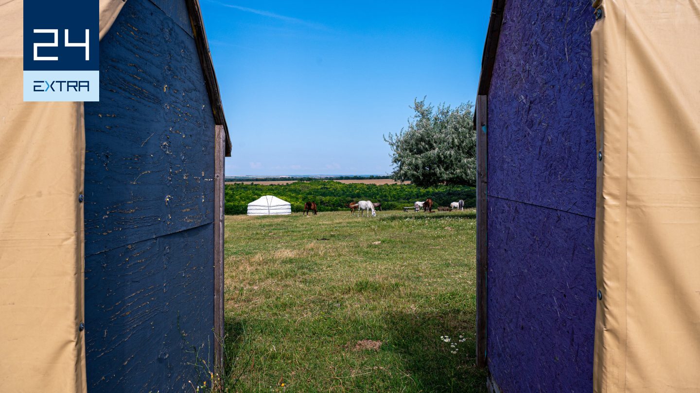 Zárlat alá helyezték a töreki lómenhelyet, miután a miniszterhez küldték a főállatorvost a helyszíni szemlén