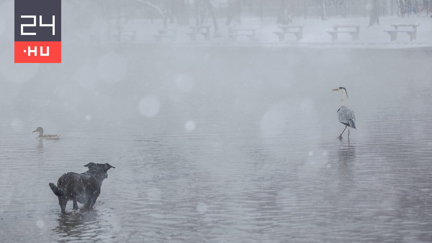 Havazás: már négy embert kellett menteni a Börzsönyben
