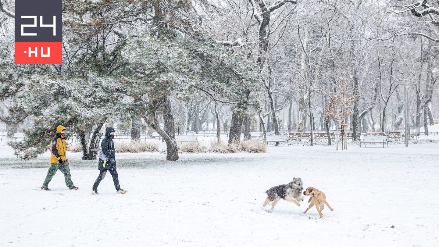 A Tisza Párt nem tud bevezetni ebadót, a Fidesz már beelőzte
