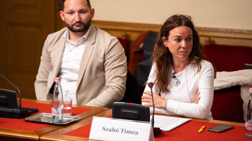 Szabó Tímea tiszteletdíjáról és a műhúsról is dönt ma az országgyűlés