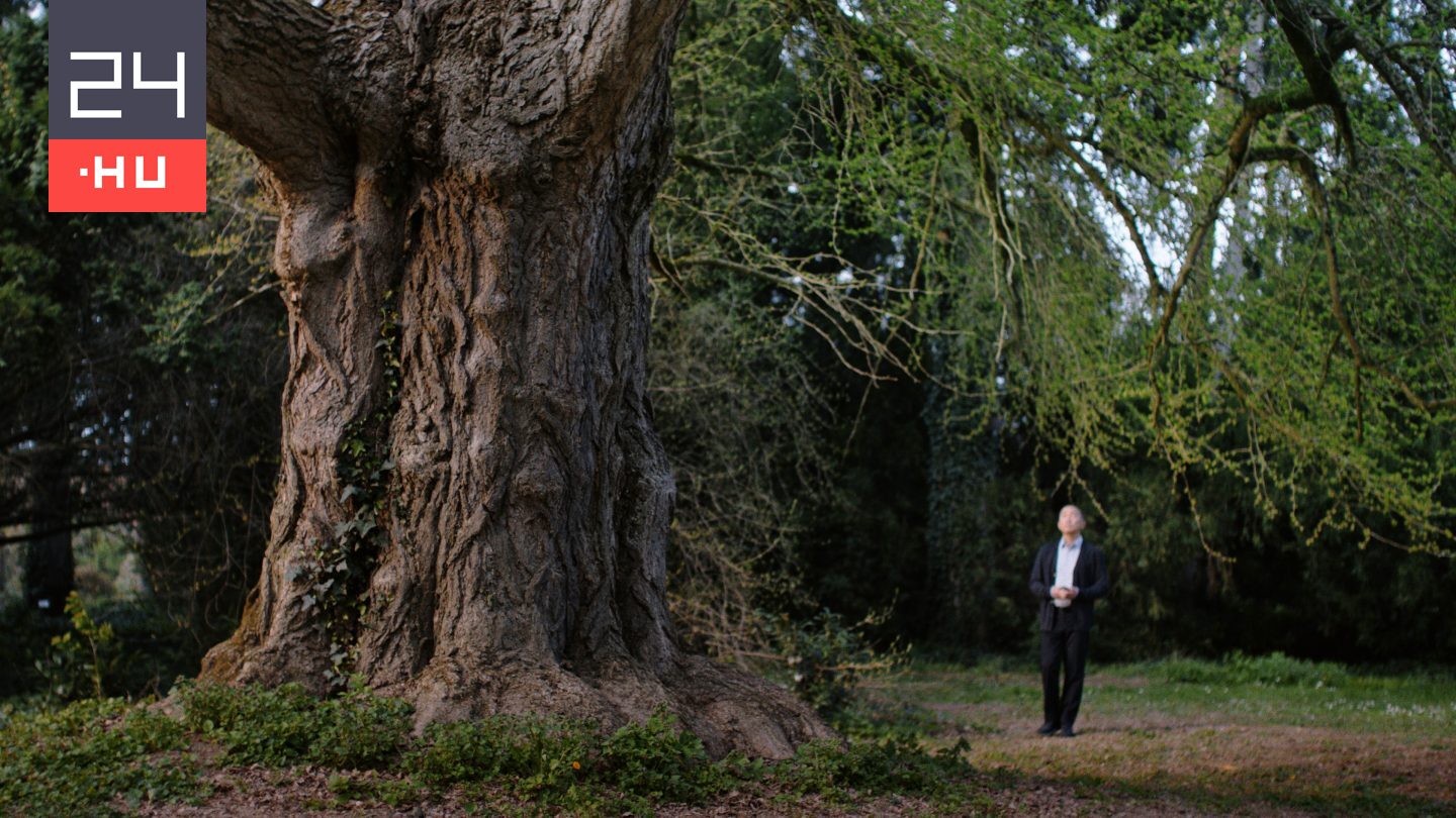 Magányos lelkek a botanikus kertben – új előzetest kapott a Csendes barát