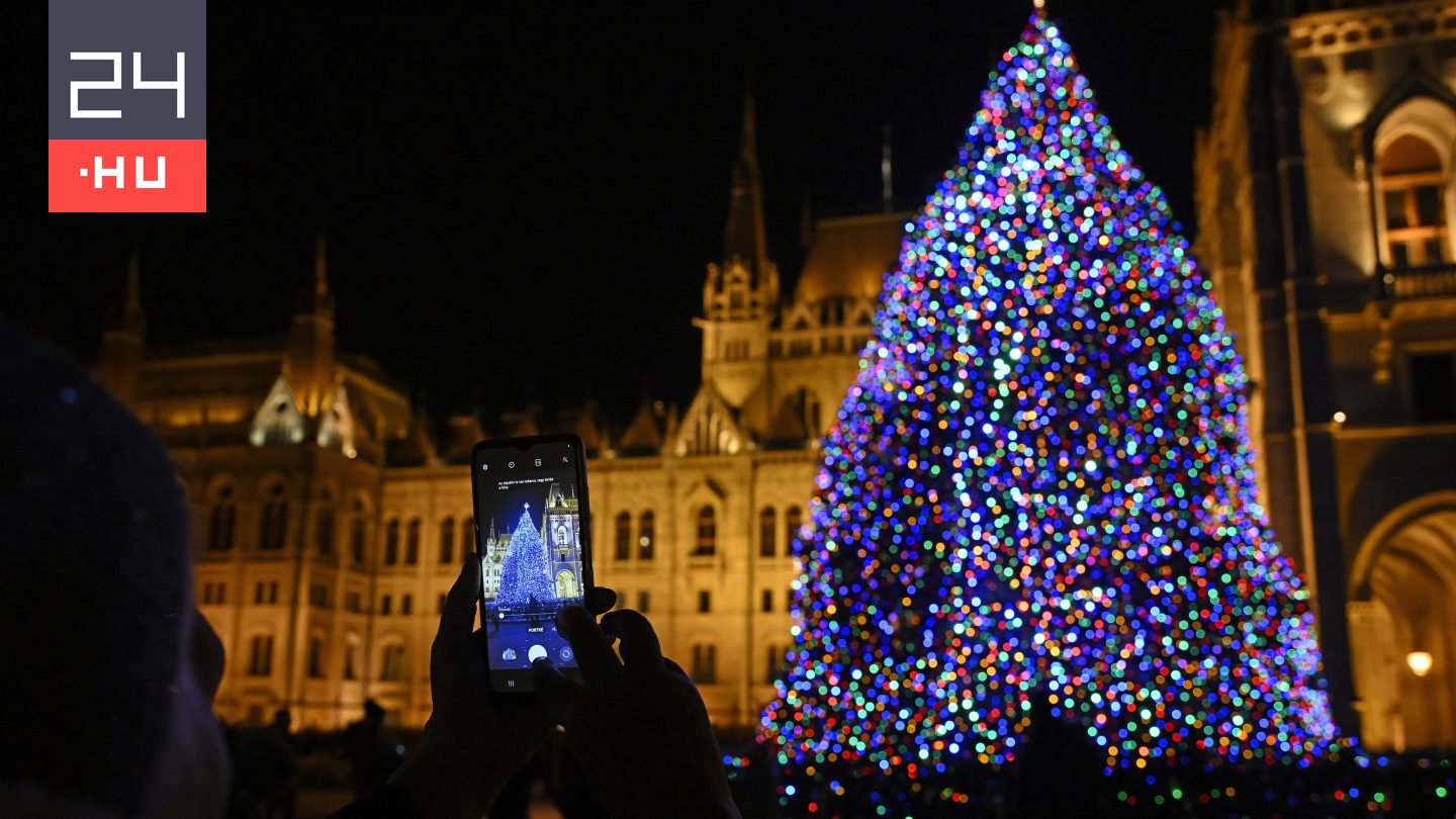 A Nyírségből hozzák az ország karácsonyfáját