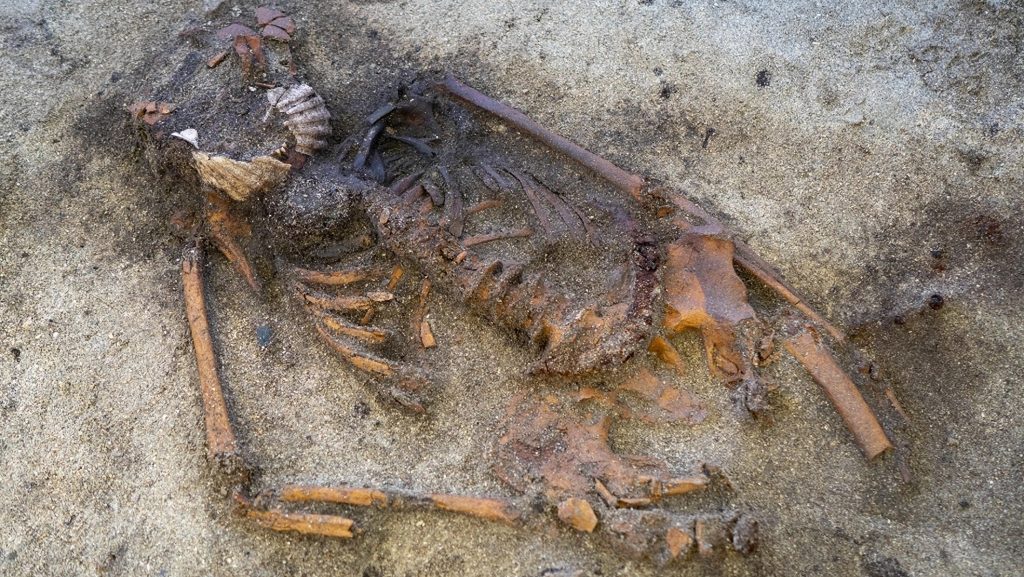 Olyasmit találtak egy viking sírban, ami a régészeket is megdöbbentette