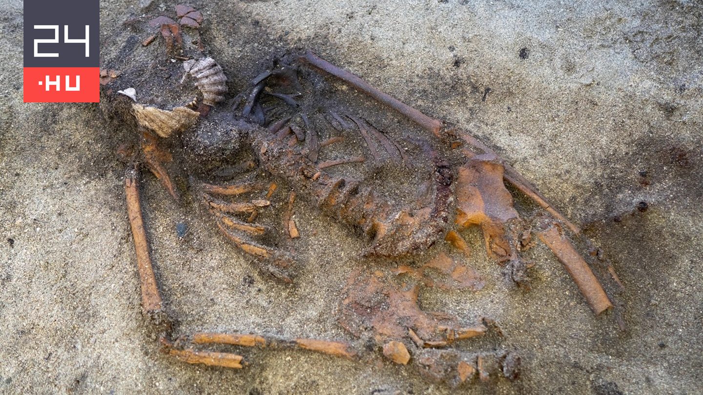 Olyasmit találtak egy viking sírban, ami a régészeket is megdöbbentette