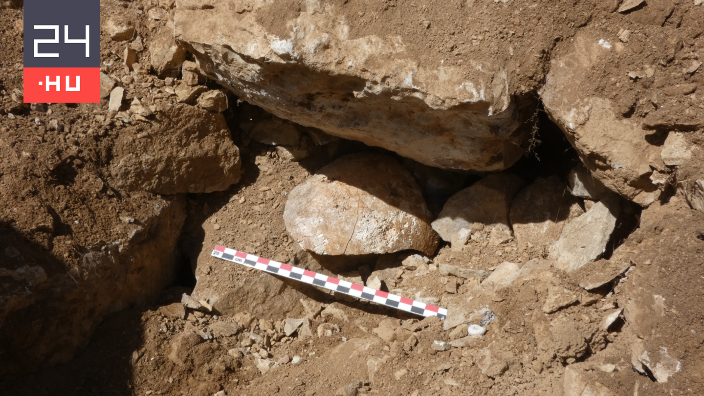 Levágott fejet találtak egy régészeti ásatáson