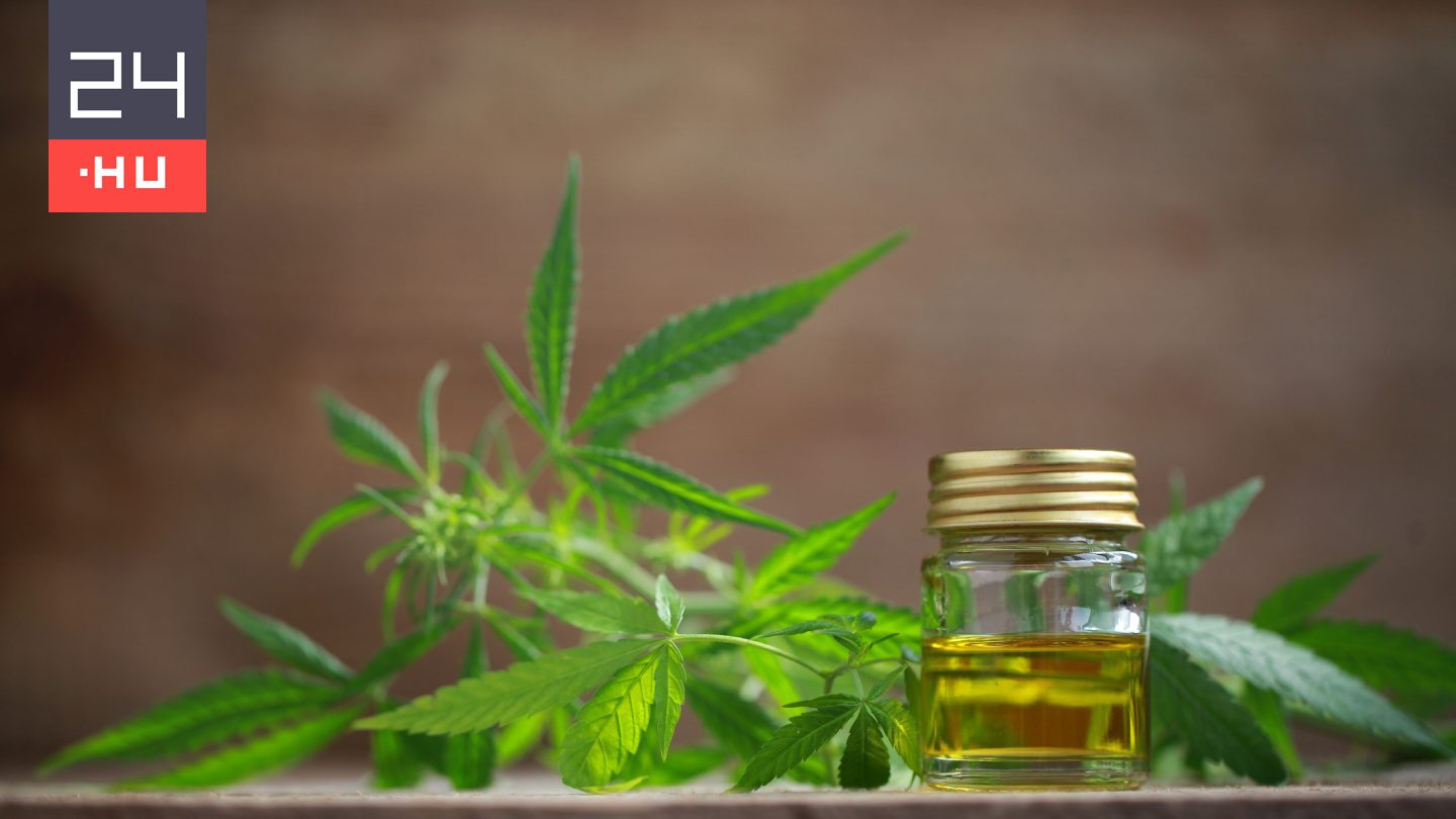 Egyetlen deka fű okozta az „ötezer adagos” budapesti díler vesztét