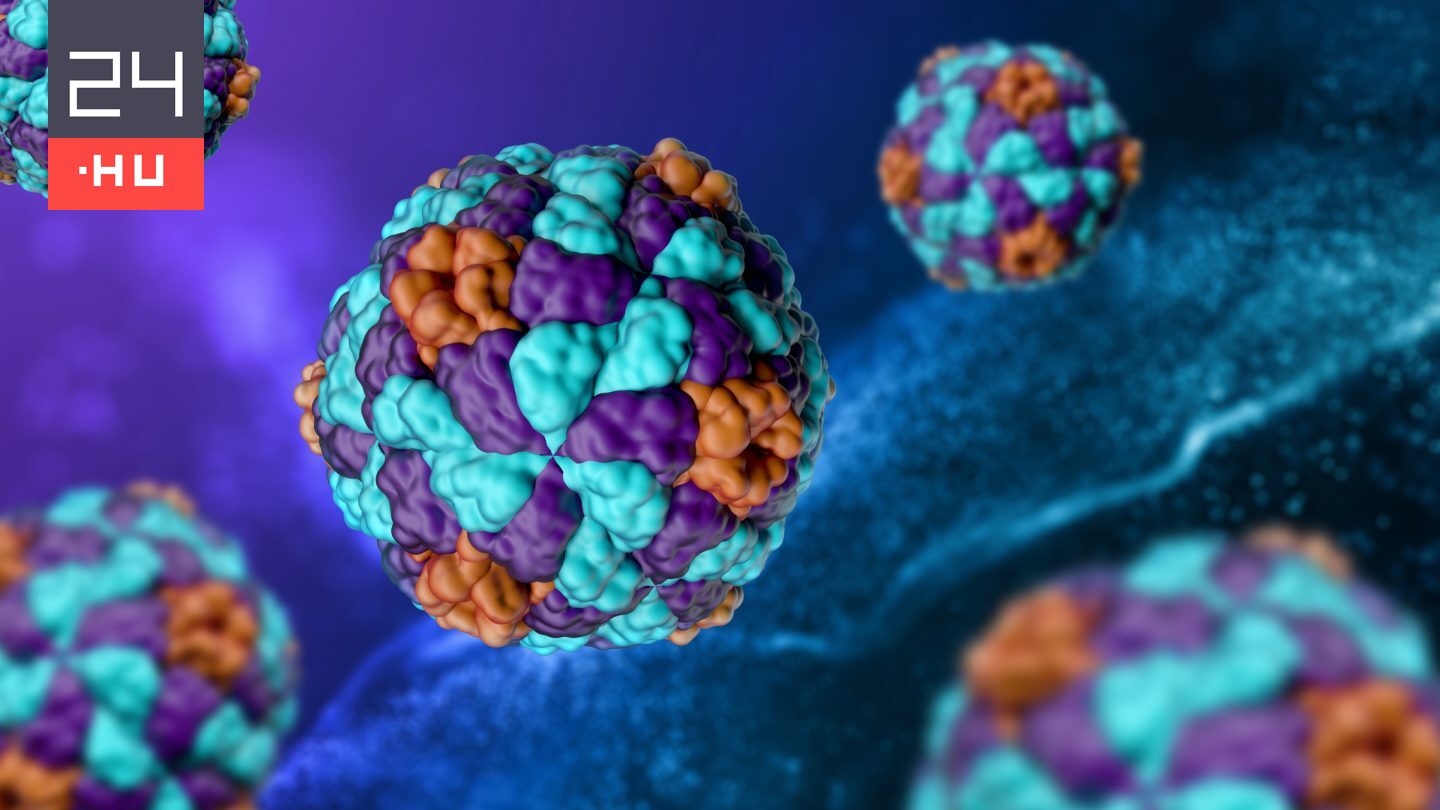 Hepatitis A: ritka vírus betegített meg százakat Magyarországon