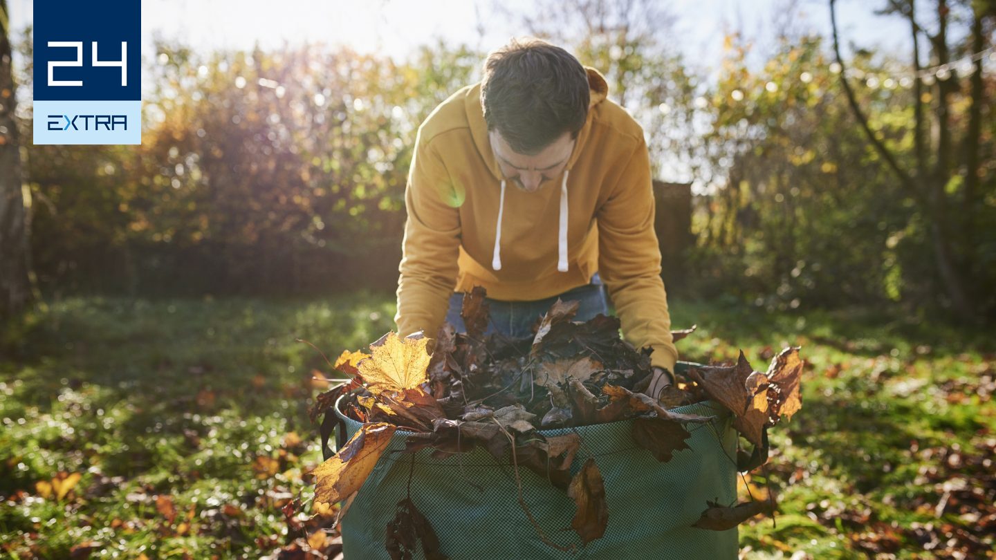 Össze kell-e gereblyézni a leveleket, és melyik virágot érdemes elrakni télire: kertészmérnök válaszolt