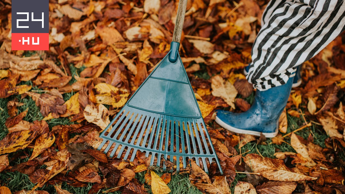 Ezért hasznos, ha nem gereblyézzük össze a lehullott leveleket