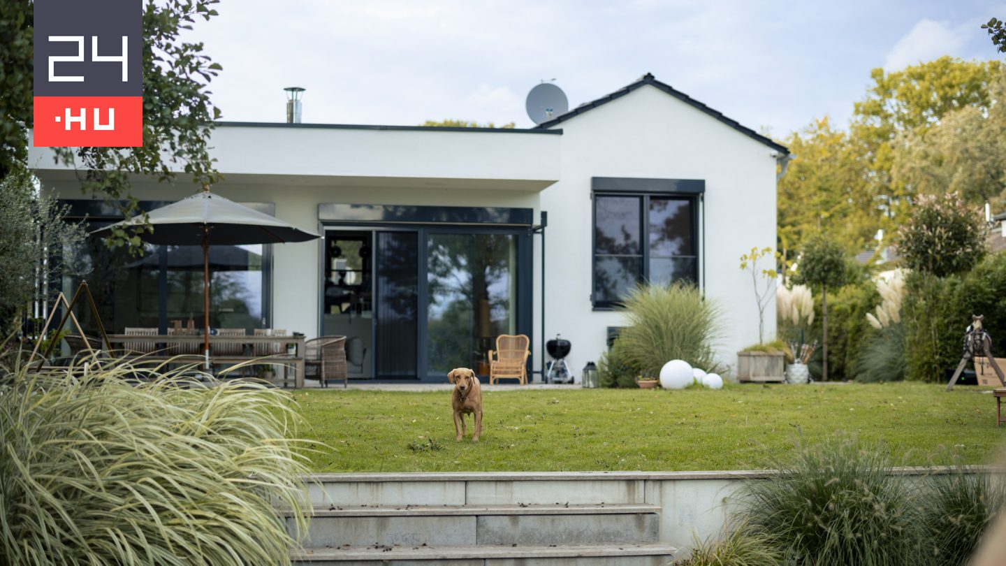 Ez a mutató rögzíti, hogy a telek hány százalékát kell növényzettel borítani