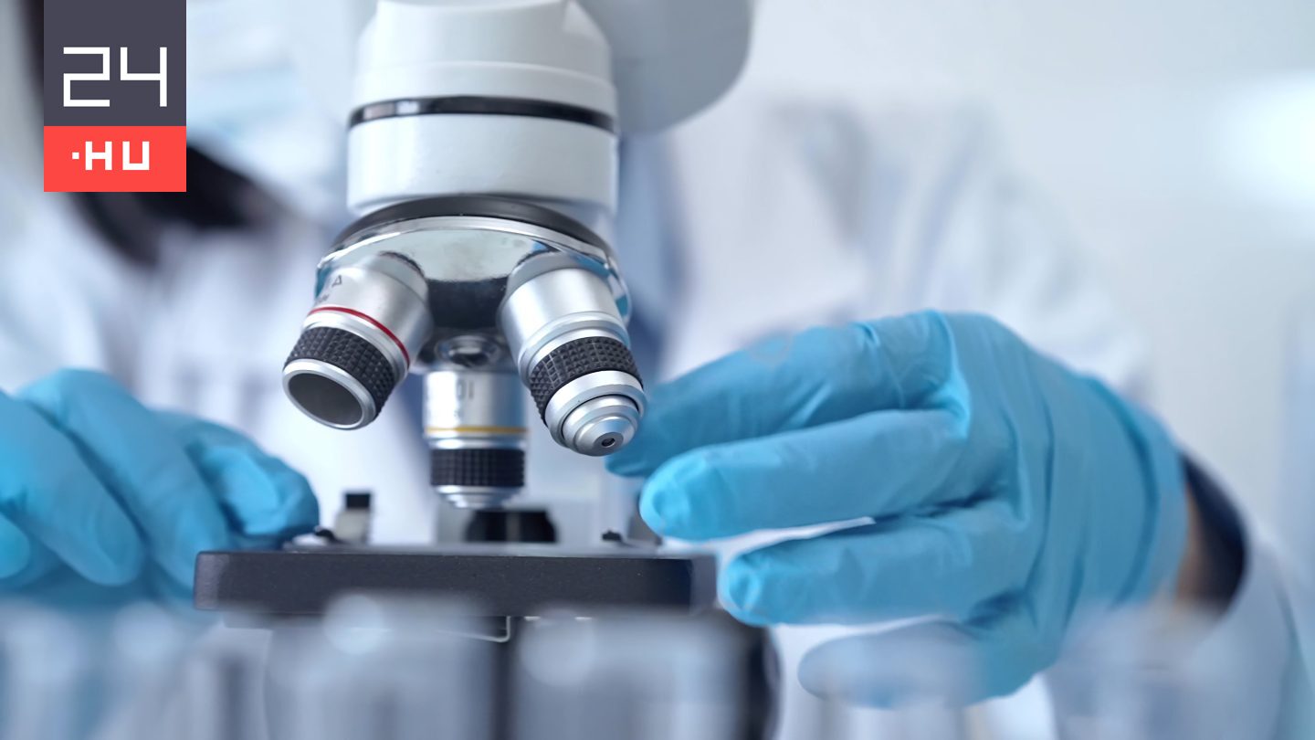 Magyar projekt nyithat új korszakot a rákkezelésben