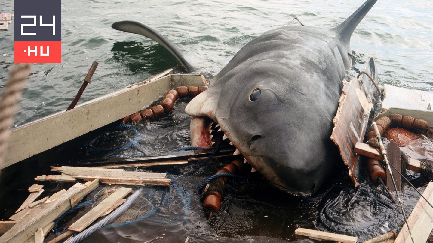Cápanyár, A tenger foga – több országban is furcsa címet kapott A cápa