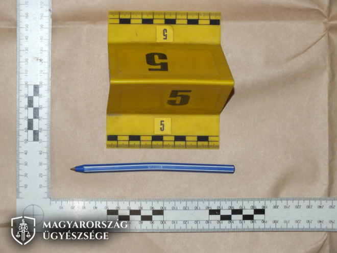 Tollal szúrta szemen az alvó betegtársát egy pszichiátrián fekvő férfi 1