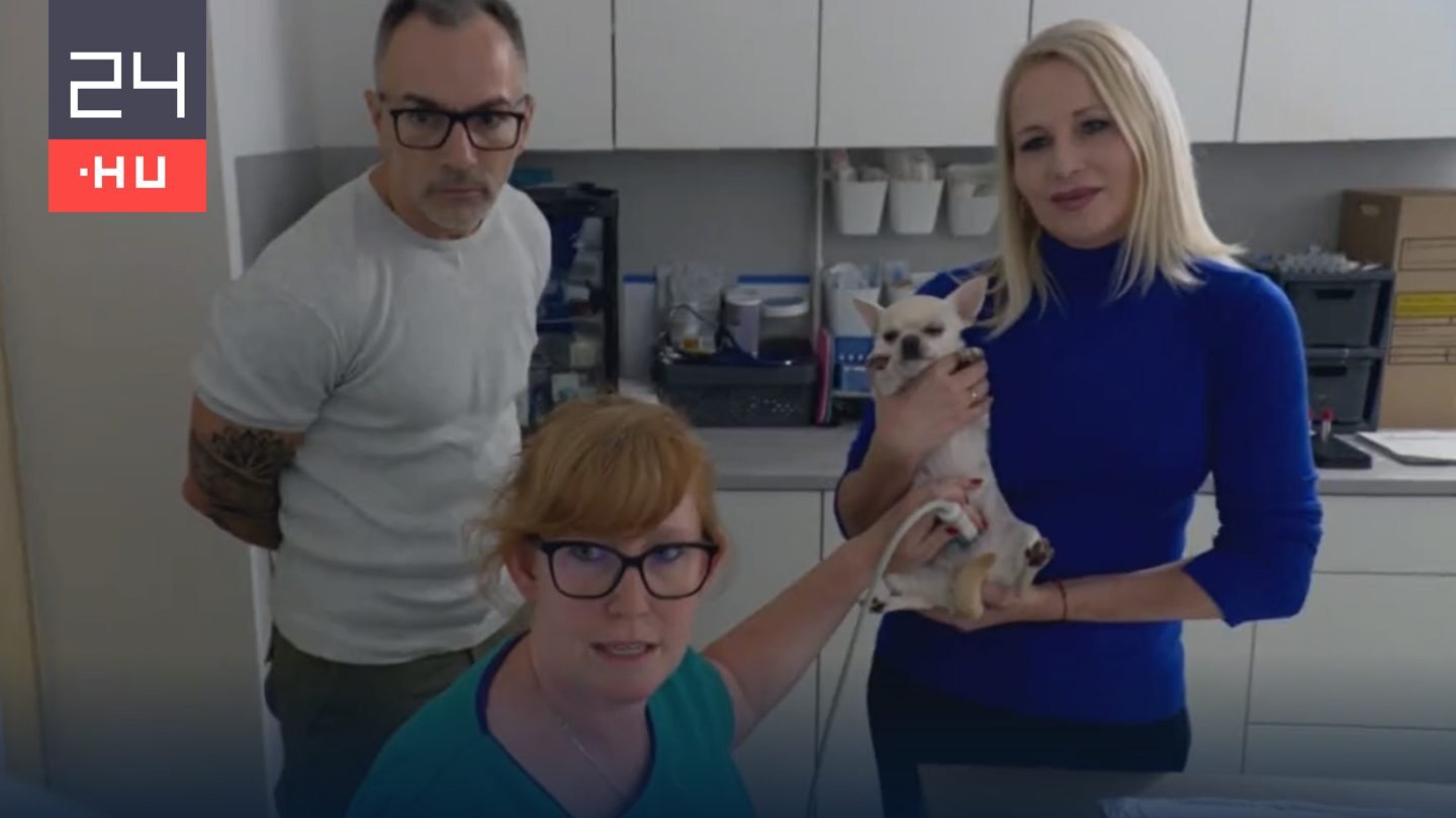 Házasság első látásra: Miló Viki kutyaultrahang-vizsgálatra vitte Attilát