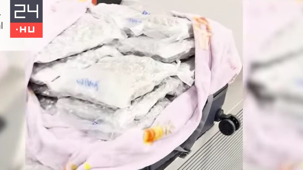 Drogon kívül semmi sem volt egy dubaji géppel érkező maláj férfi bőröndjében