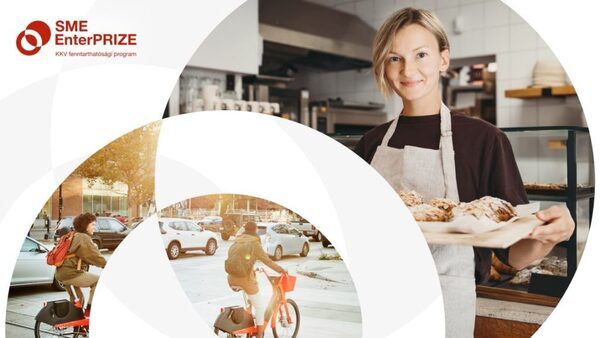 sme-enterprize-kicsinyitett