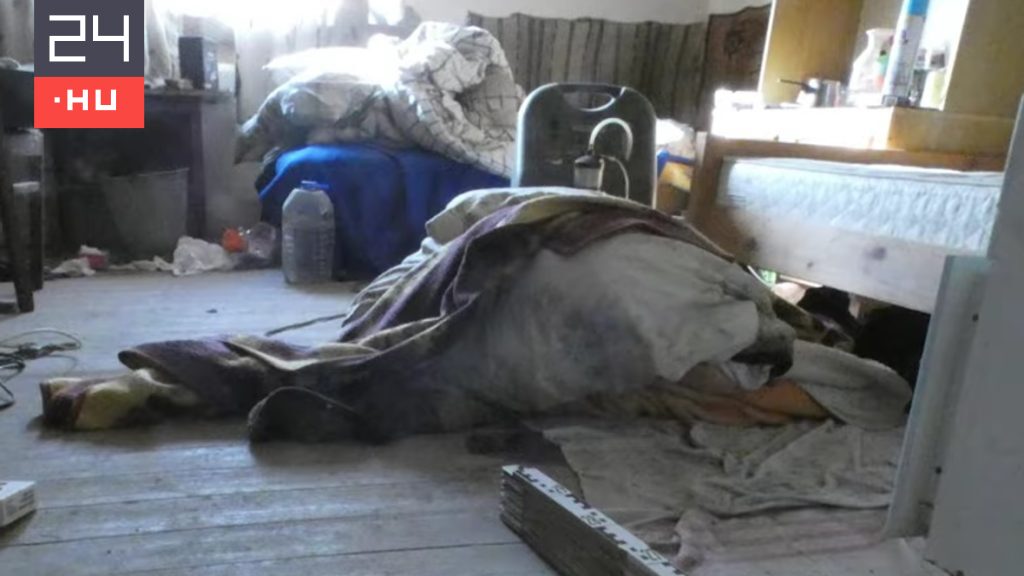 Meggyilkolták a holtan talált tápiószelei nyugdíjast, fejszével és kőműveskalapáccsal végeztek vele