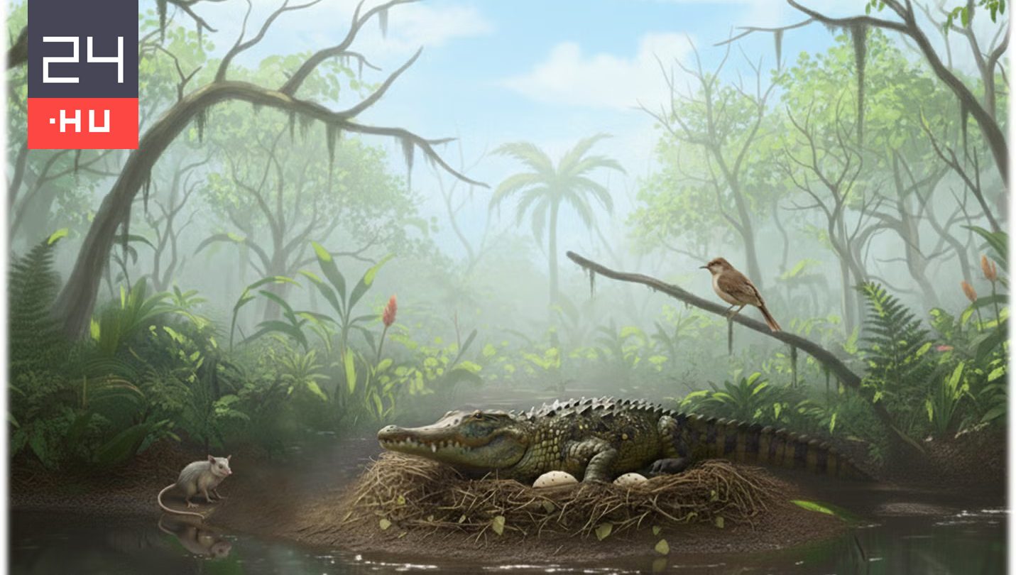 Fára mászva vadászhattak az ausztrál őskrokodilok