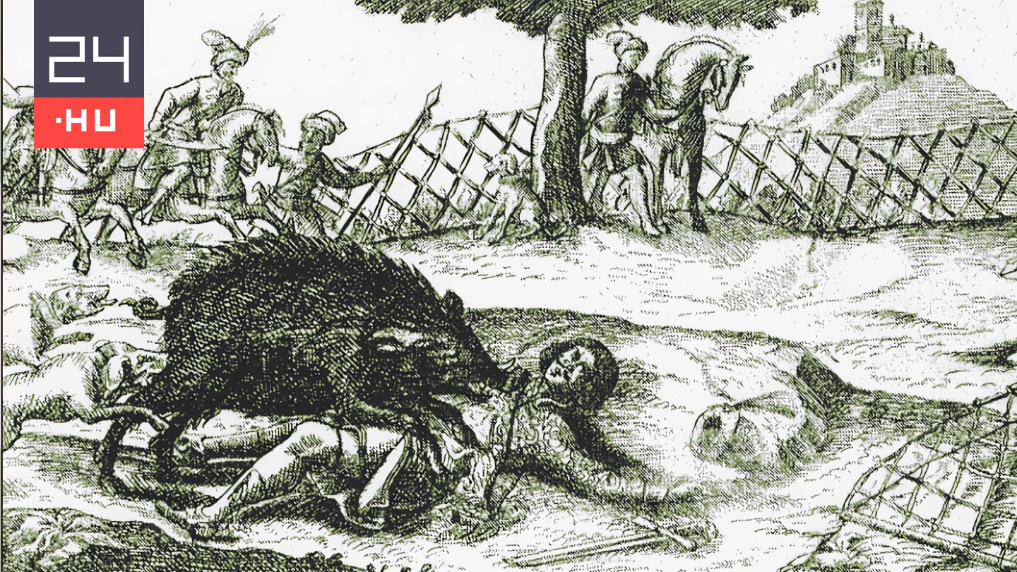 Vaddisznó szúrta át Zrínyi Miklós nyakát