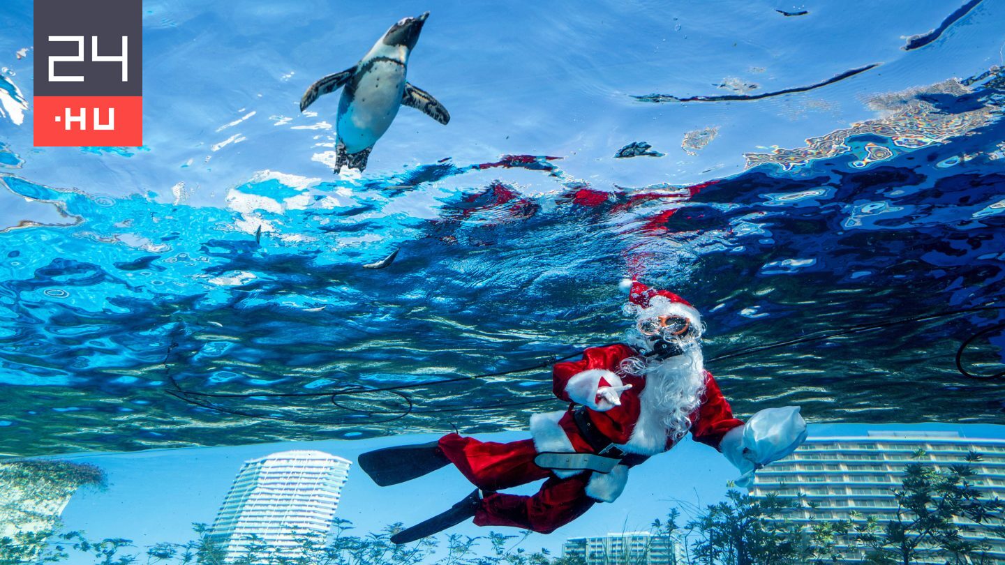 Lego Trump, búvár Mikulás, bohócok a hét képein