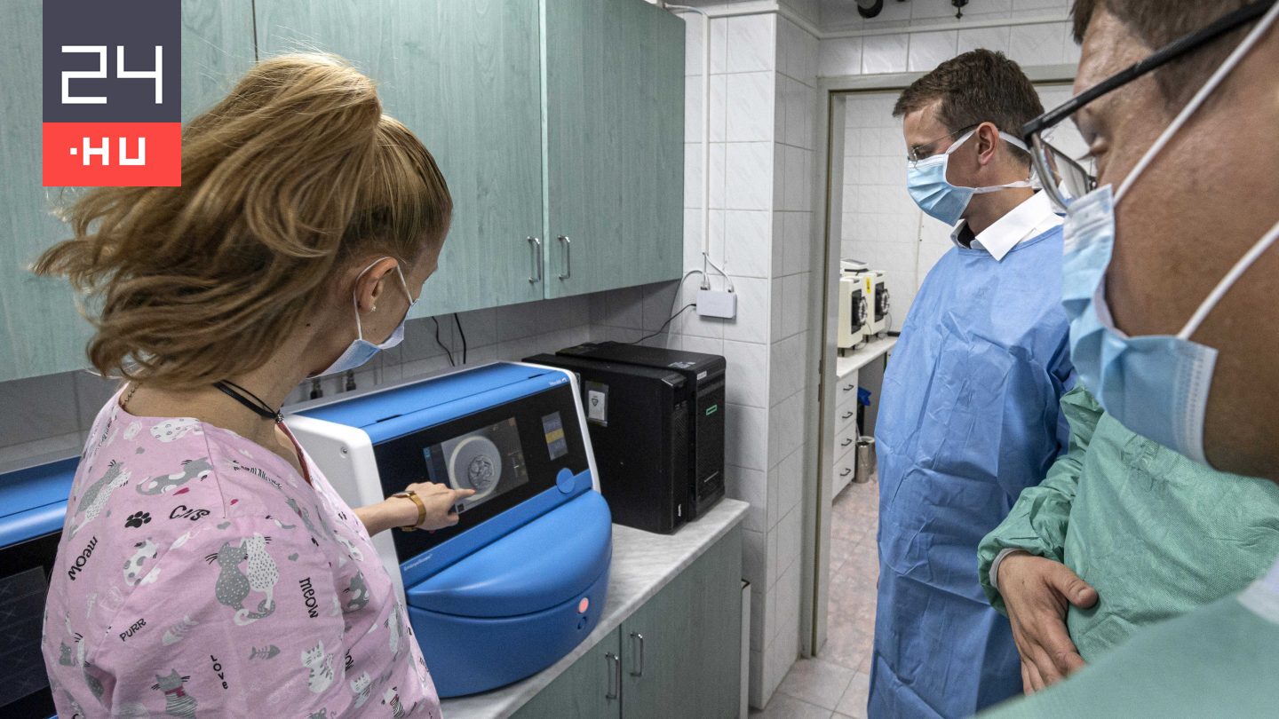 Orbán és Pintér után a püspöki konferencia is megszólalt a petesejt-adományozásról szóló fideszes javaslatról